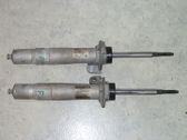 Front shock absorber with coil spring
