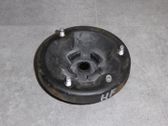 Coil spring mount