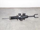 Front shock absorber with coil spring