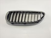Grille calandre de capot