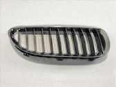 Ziergitter Motorhaube