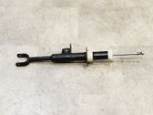 Front shock absorber with coil spring