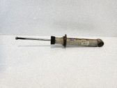 Stoßdämpfer mit Federbein hinten