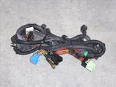 Cableado de la caja de cambios/transmisión