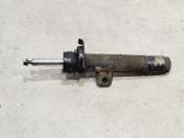 Front shock absorber with coil spring