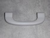 Front interior roof grab handle