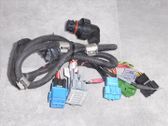 Cableado de la caja de cambios/transmisión