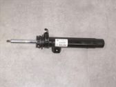 Front shock absorber with coil spring
