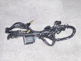 Other wiring loom