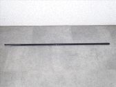 Listón embellecedor de la puerta delantera (moldura)
