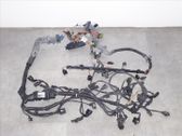Faisceau de câblage pour moteur