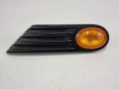 Seitenblinker