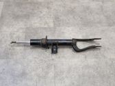 Stoßdämpfer Federbein
