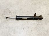 Rear shock absorber/damper