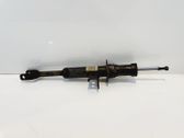 Front shock absorber with coil spring