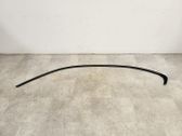 Sliding door trim (molding)