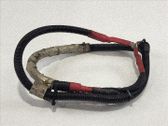 Cables (alternador)