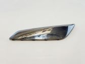 Fender trim (molding)