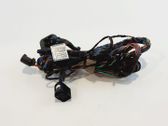 Rear door wiring loom