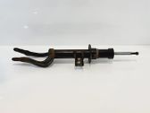 Front shock absorber with coil spring