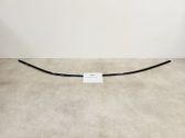 Roof trim bar molding cover