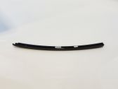 Rear door glass trim molding
