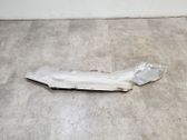 Heat shield in engine bay