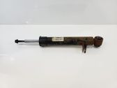 Rear shock absorber/damper
