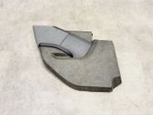Moldura del tarjetero de la puerta trasera
