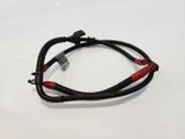 Kabel Lichtmaschine