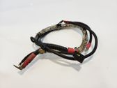 Kabel Lichtmaschine