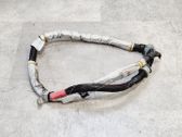Wires (starter motor)
