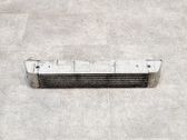 Chłodnica powietrza doładowującego / Intercooler