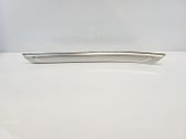 Rear sill trim cover
