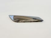 Fender trim (molding)