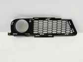 Fender grill