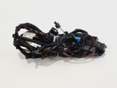 Front door wiring loom