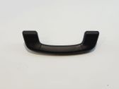 Front interior roof grab handle