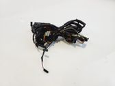 Rear door wiring loom