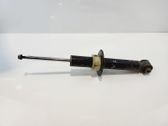 Rear shock absorber with coil spring