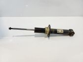 Rear shock absorber with coil spring