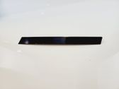 Rear door trim (molding)