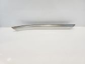 Rear sill trim cover