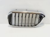 Front grill