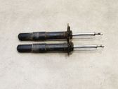 Front shock absorber with coil spring