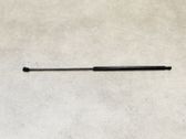 Front bonnet/hood damper/strut