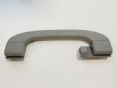 Rear interior roof grab handle