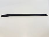 Windshield trim