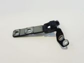 Tailgate/trunk/boot hinge