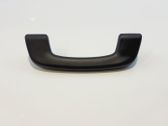 Front interior roof grab handle